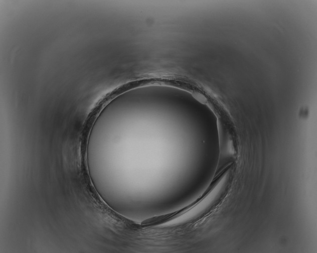 X0000089961214200707061133