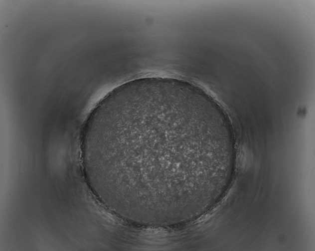 X0000089961215200707061133