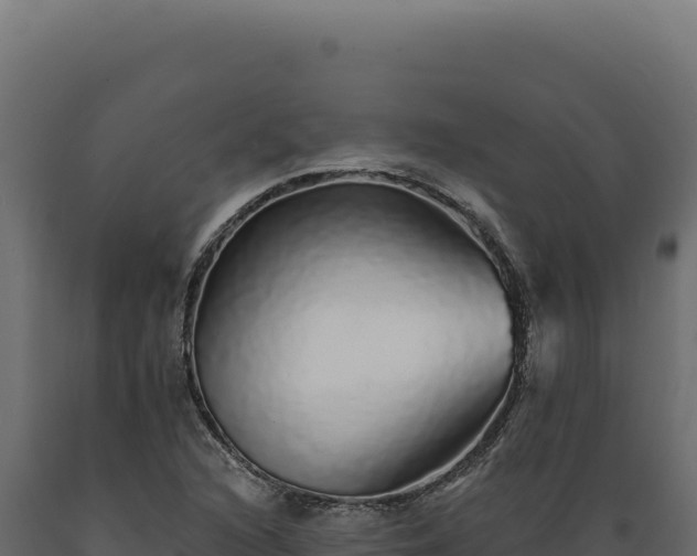 X0000089961216200707061133