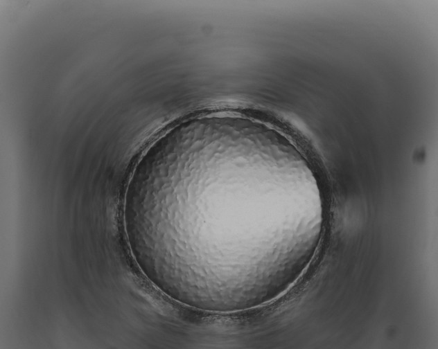 X0000089961217200707061133