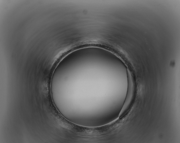 X0000089961218200707061133