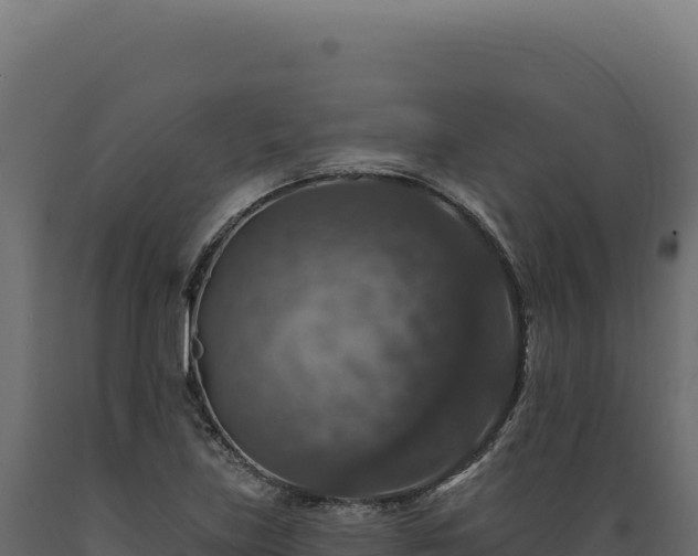 X0000089961219200707061133