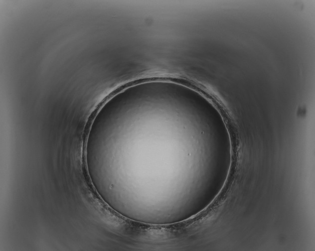 X0000089961220200707061133