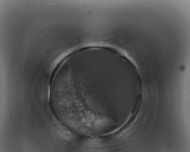 X0000089961221200707061133