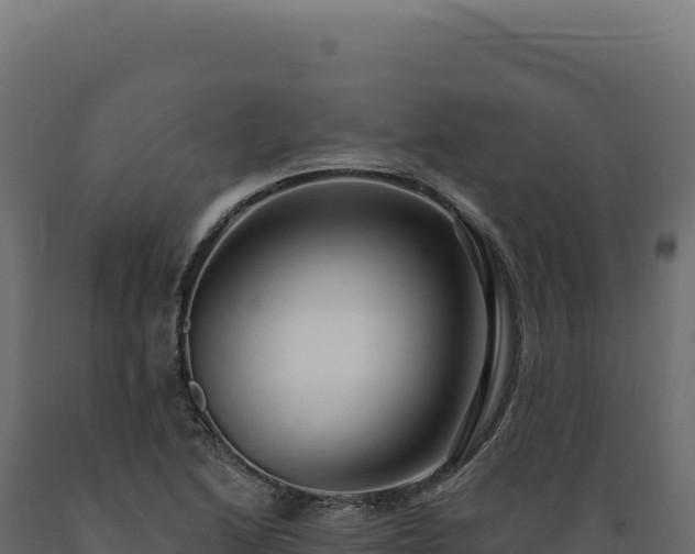 X0000089961222200707061133