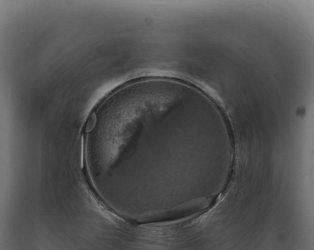 X0000089961223200707061133