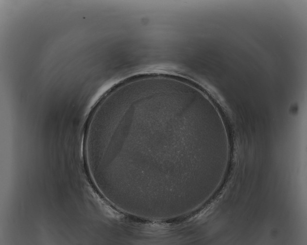 X0000089961224200707061133