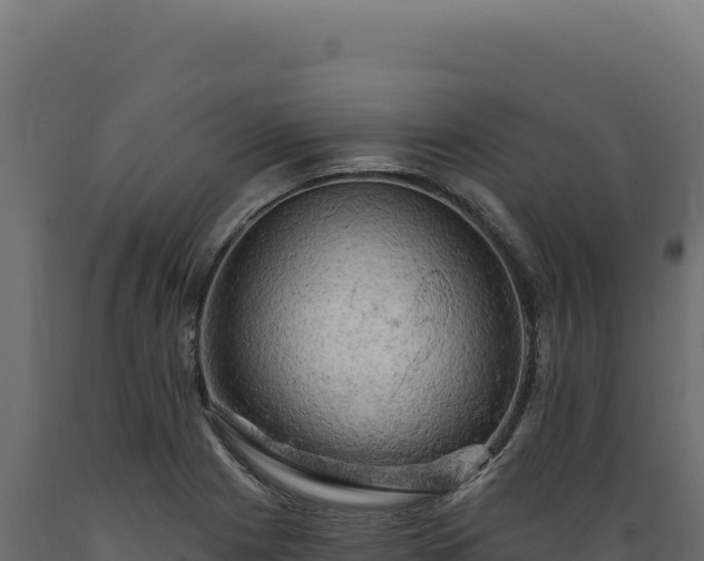 X0000089961225200707061133