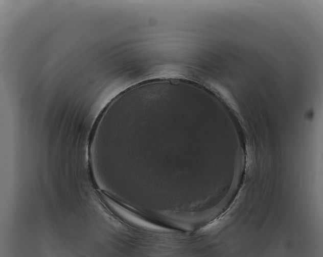 X0000089961226200707061133