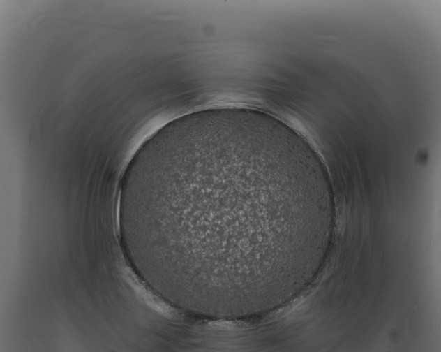 X0000089961227200707061133