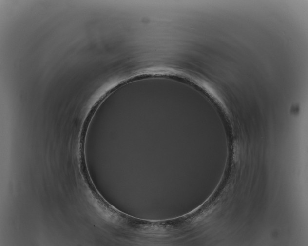 X0000089961229200707061133