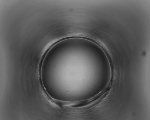 X0000089961230200707061133