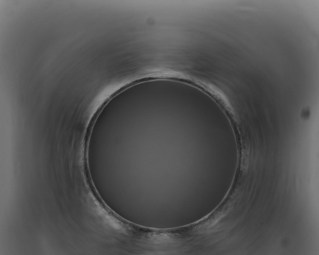 X0000089961231200707061133