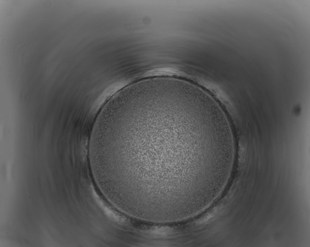 X0000089961233200707061133