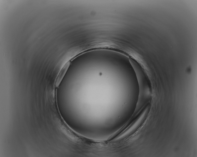 X0000089961234200707061133