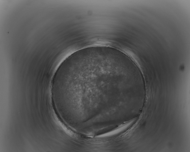 X0000089961235200707061133