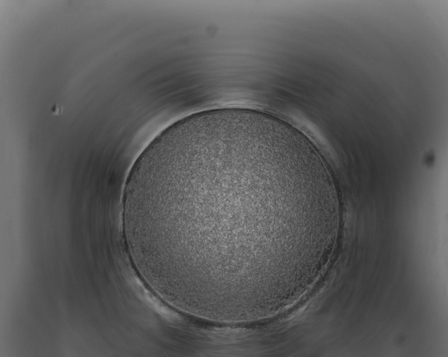X0000089961236200707061134