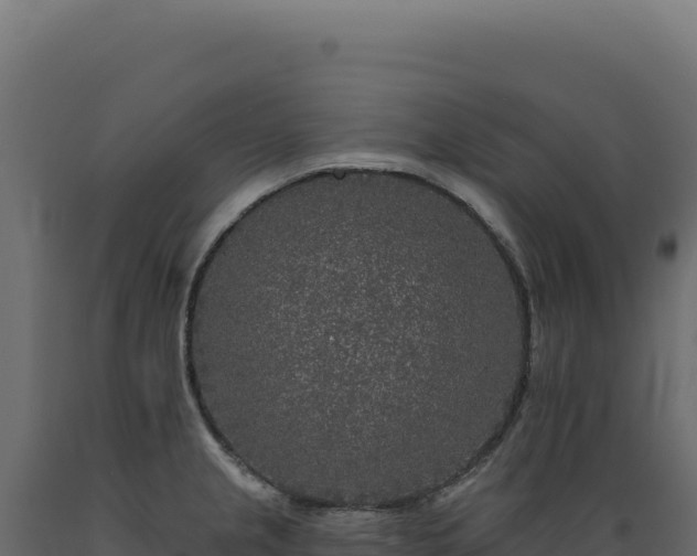 X0000089961237200707061134