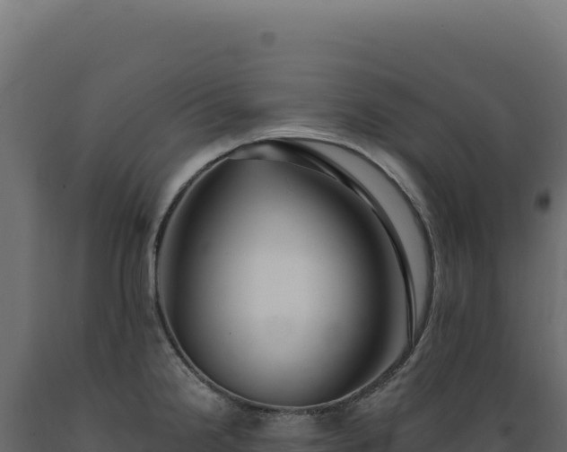 X0000089961238200707061134