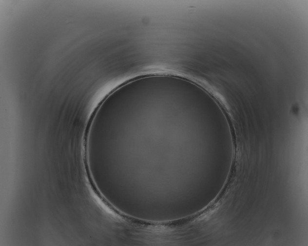 X0000089961239200707061134