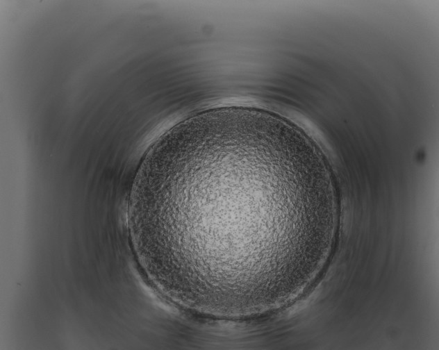 X0000089961241200707061134