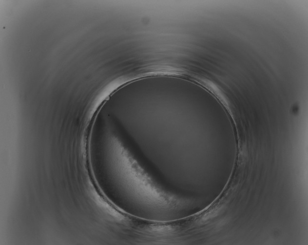 X0000089961243200707061134