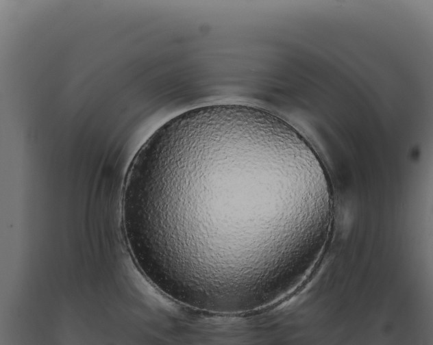 X0000089961244200707061134