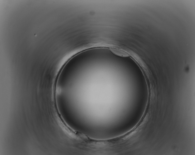 X0000089961246200707061134