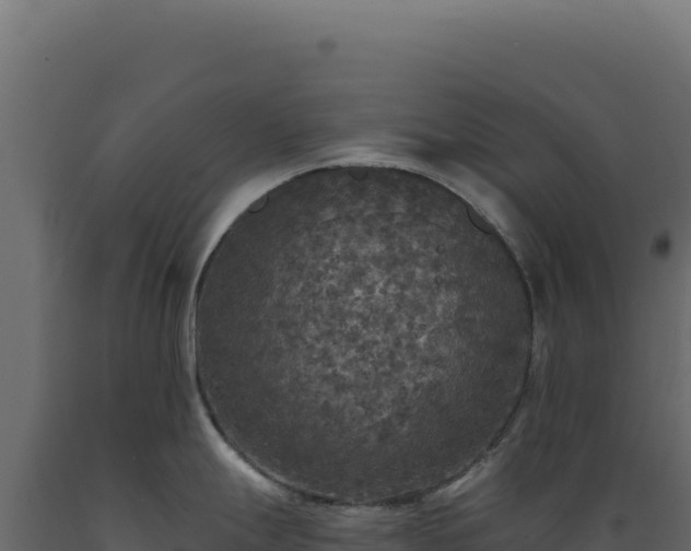 X0000089961247200707061134