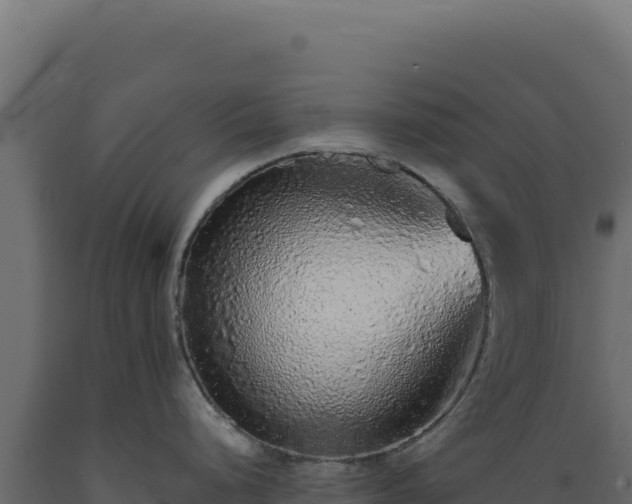 X0000089961248200707061134