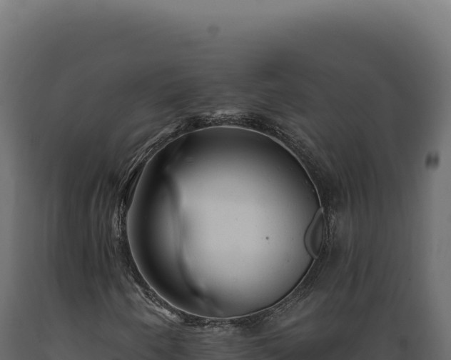 X0000089961250200707061133