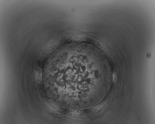 X0000089961251200707061133