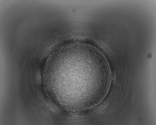 X0000089961252200707061133
