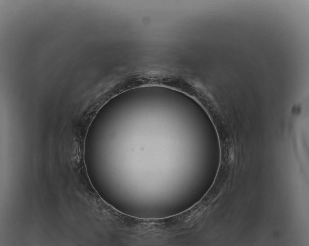 X0000089961253200707061133