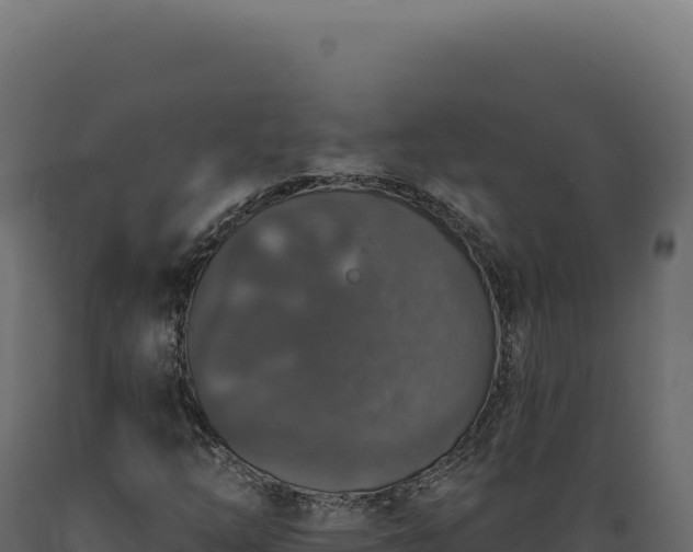 X0000089961254200707061133