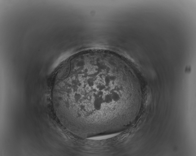 X0000089961255200707061133