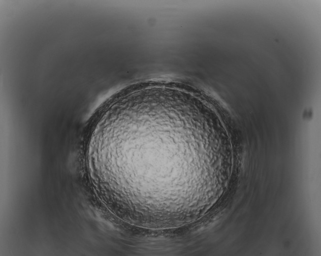 X0000089961256200707061133