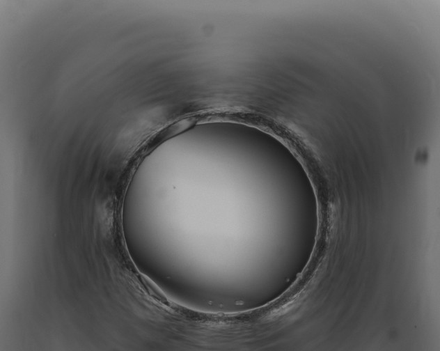 X0000089961257200707061133