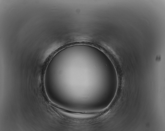 X0000089961261200707061133