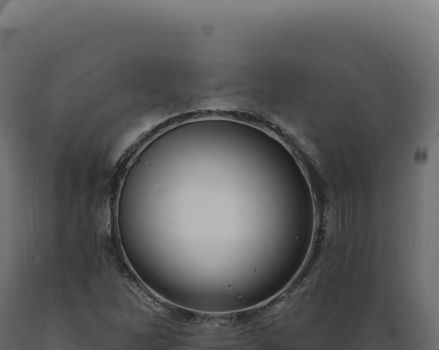 X0000089961262200707061133