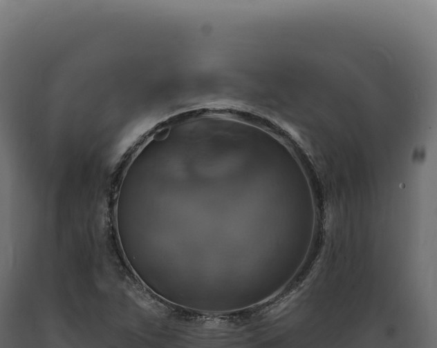 X0000089961263200707061133