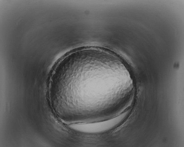 X0000089961264200707061133