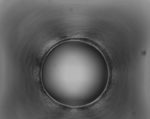 X0000089961265200707061133