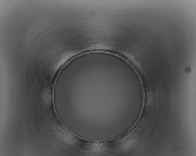 X0000089961266200707061133