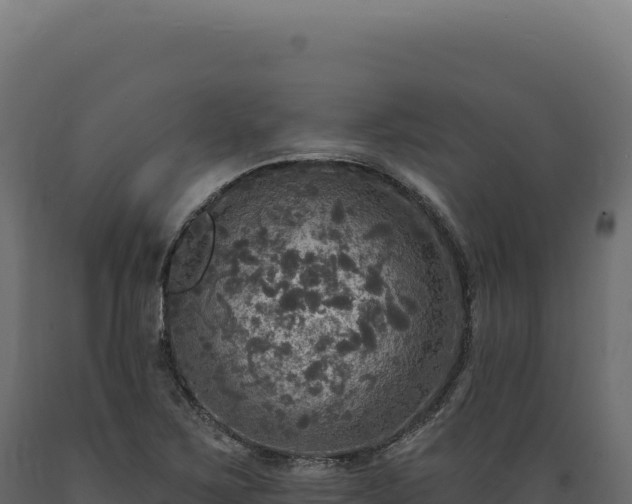 X0000089961267200707061133