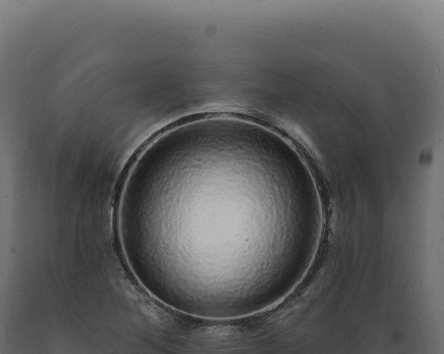 X0000089961268200707061133