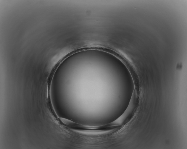 X0000089961269200707061133