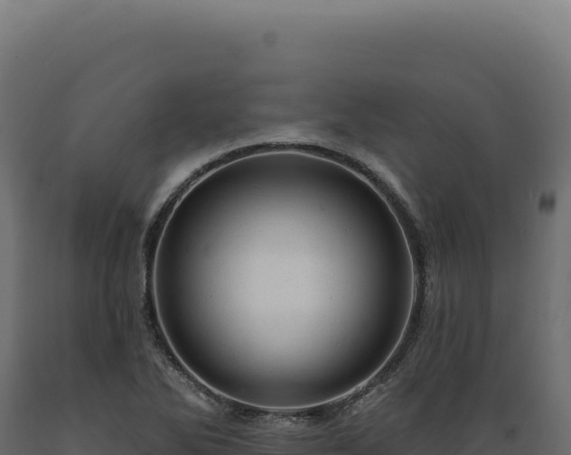 X0000089961270200707061133