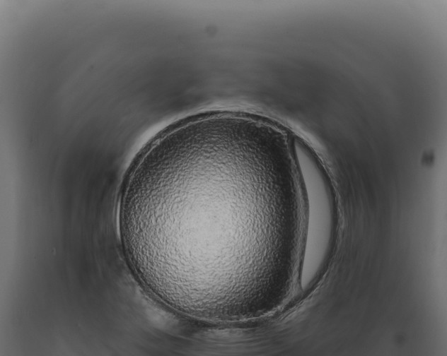 X0000089961272200707061133