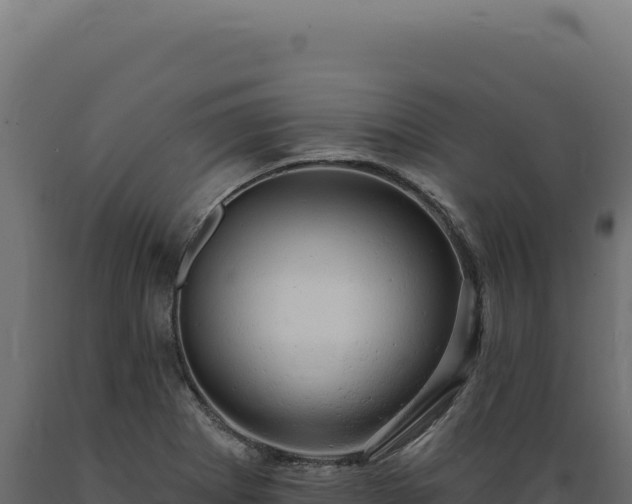 X0000089961273200707061133